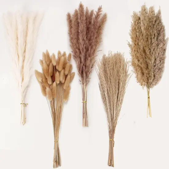 Natural Dried Pampas Grass Decor, 110 PCS Pampas Grass Contains White Bunny Tails Dried Flowers, Artificial Flowers for Bathroom Decor, Bathroom Wall Decor, Office Decor and Baby Shower Decorations {1}