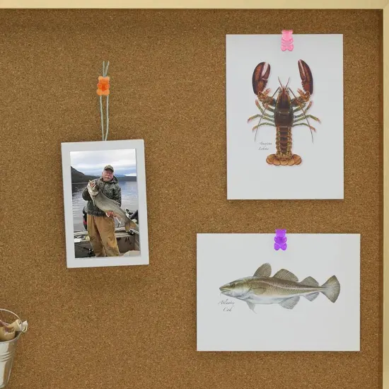 25pcs Colorful Translucent Gummy Bear Push Pins Cute Resin Bear Thumb Tack Decorative Pushpins with A Box for Home Office Bulletin Board Corkboard Hanging Posters {5}