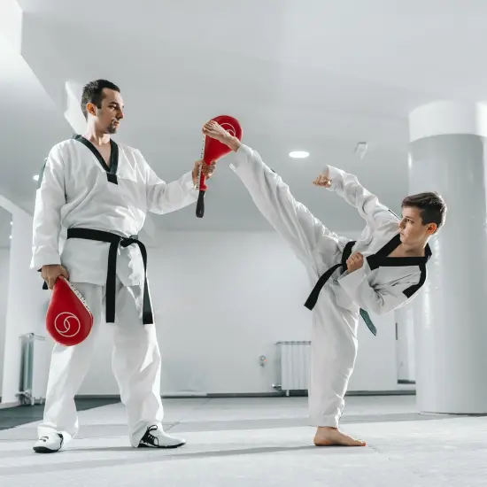 2 Pack Taekwondo Kick Pads, Martial Arts Training Equipment, Kickboxing Striking Target Pads, TKD Sparring Gear (Red, 15 x 2.5 x 7.5 In) {2}