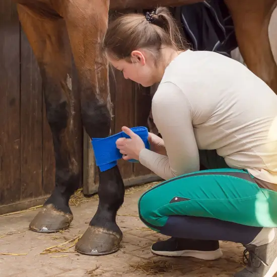 12 Rolls Self Adherent Stretch Bandage Wrap 2 Inch x 6 Yards, Adherent Cohesive Vet Tape for First Aid, Wrist and Ankle Swelling, Animals, Pets, Sports (6 Colors) {5}