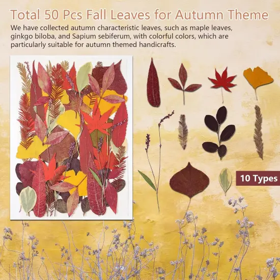 A5 Large Bulk Fall Dried Pressed Leaves {5}
