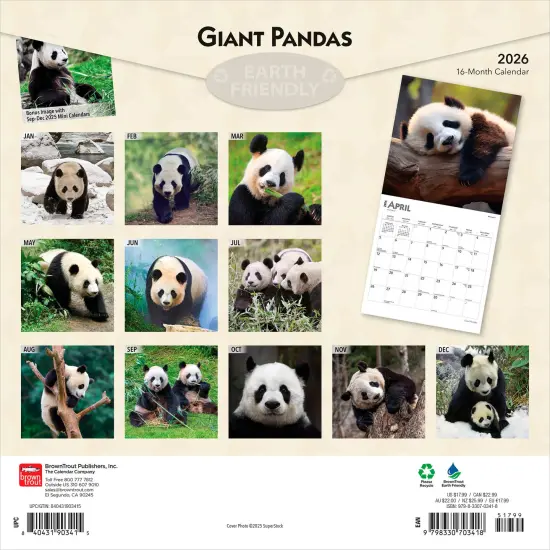 Giant Pandas | 2026 12 x 24 Inch (Hanging) Monthly Square Wall Calendar | Plastic-Free {2}