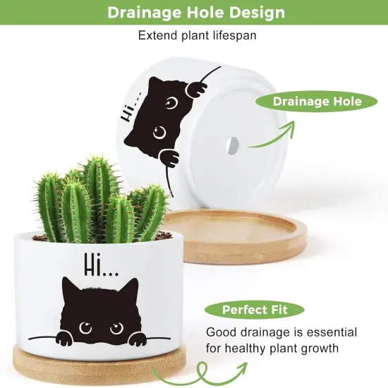 3PCS Funny Printed Ceramic Plant Pots – Succulent Planters with Drainage & Saucers, Gift for Women {5}