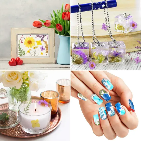 109 Pieces Dried Pressed Flowers for Resin {3}