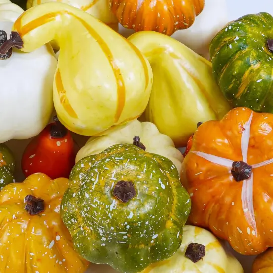 30 Pcs Assorted Rustic Harvest Table Decor {2}