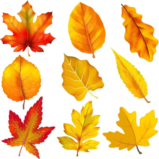 45 PCS Fall Maple Leaves Cutouts for Bulletin Board Decoration {2}