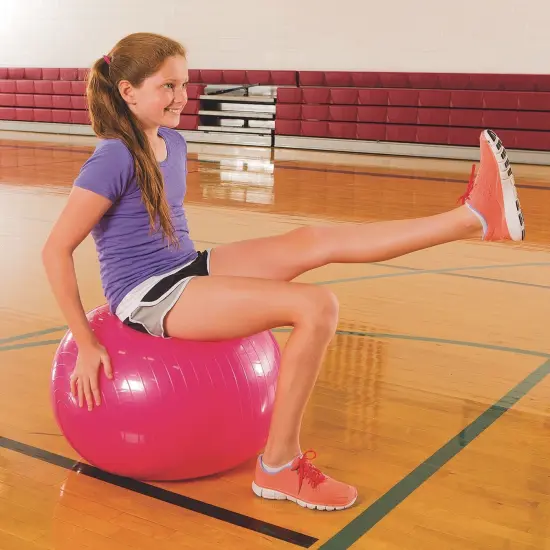 Exercise and Therapy Ball {1}