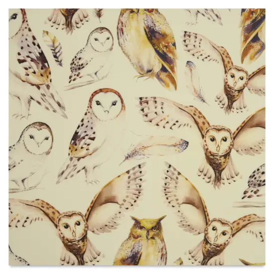 Elan Transfers Overglaze Decal Sheet - Owls {1}