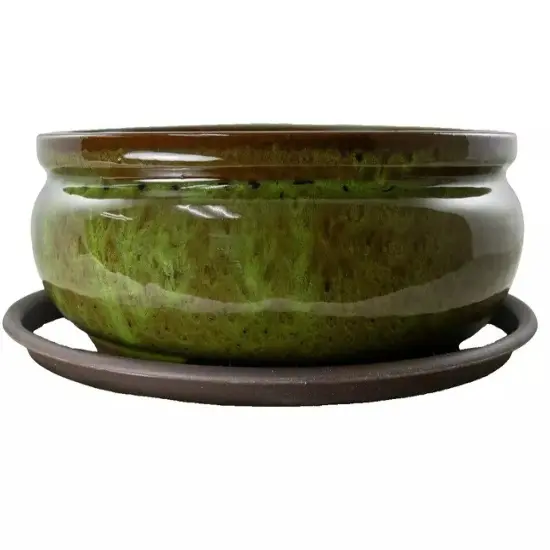 Oval Glazed Bonsai / Succulent Pot + Tray + Mesh 12"x 8.5"x 3.75" - Moss Green {3}