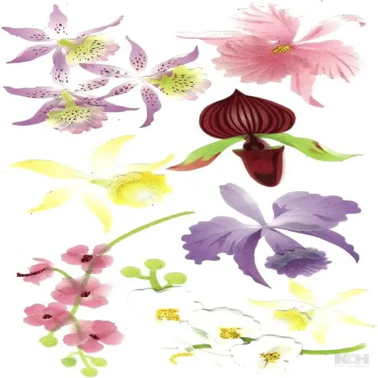 Jolee's Boutique Colorful Orchids Dimensional Stickers {1}