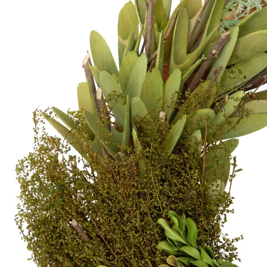 Northlight Cedar, Succulent and Day Grass Artificial Spring Wreath, Green -14-Inch {7}