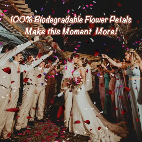 Biodegradable Wedding Confetti,Dried Flower Petals - Natural Dried Rose, Jasmine & Forget-Me-Not Petals {2}