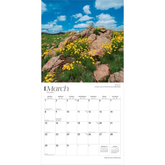 Oklahoma Wild & Scenic | 2026 12 x 24 Inch (Hanging) Monthly Square Wall Calendar | Plastic-Free {3}