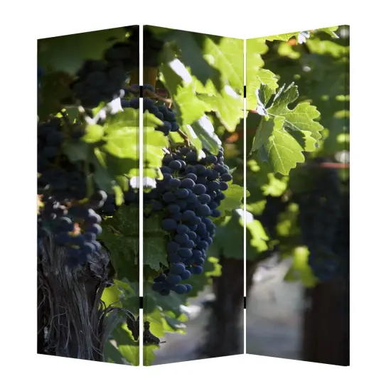 HomeRoots Decor 1-inch x 48-inch x 72-inch Multi-Color, Wood, Canvas, Wine Country - Screen {1}
