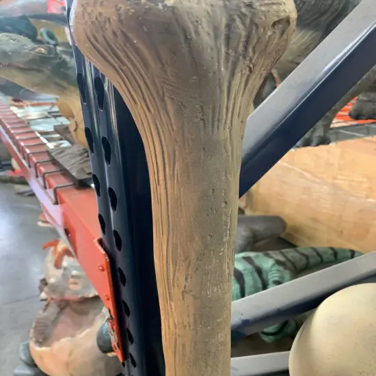 Small Dinosaur Bone Life Size Statue {6}