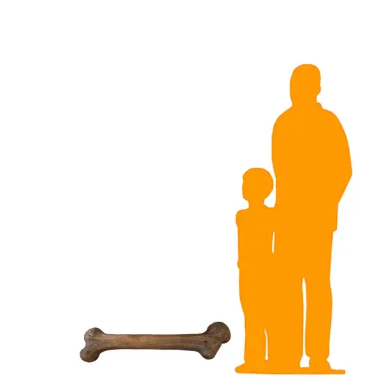 Large Dinosaur Bone Life Size Statue {2}