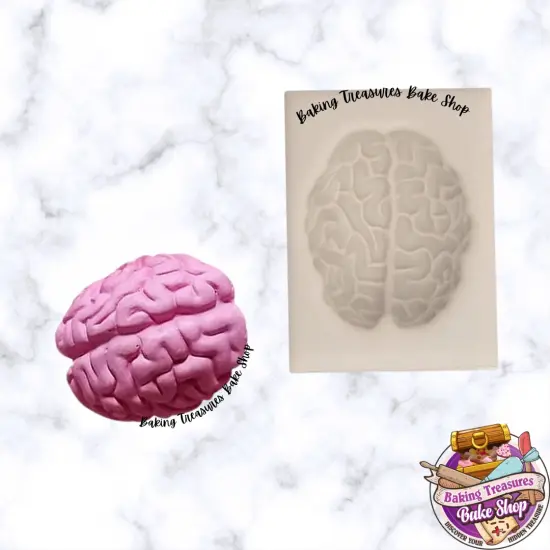 Human Brain Silicone Mold {1}