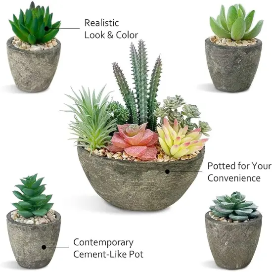 Succulents Plants Artificial Set of 5, Realistic Fake Succulents with Cement Like Pots for Home Office Decoration. {4}