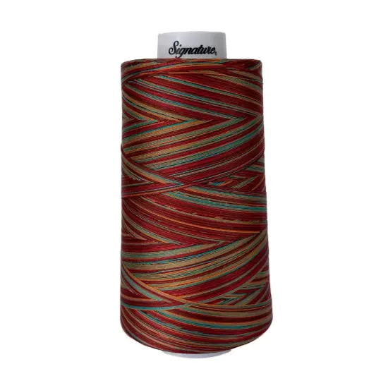 F256 Southwest Signature Cotton Variegated Thread {1}