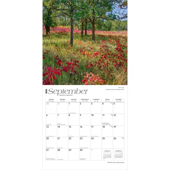 Minnesota Wild & Scenic | 2026 12 x 24 Inch (Hanging) Monthly Square Wall Calendar | Plastic-Free {4}