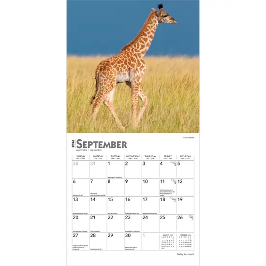 Baby Animals | 2026 7 x 14 Inch (Hanging) Monthly Mini Wall Calendar {4}