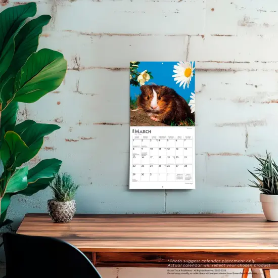 Guinea Pigs | 2026 7 x 14 Inch (Hanging) Monthly Mini Wall Calendar {5}