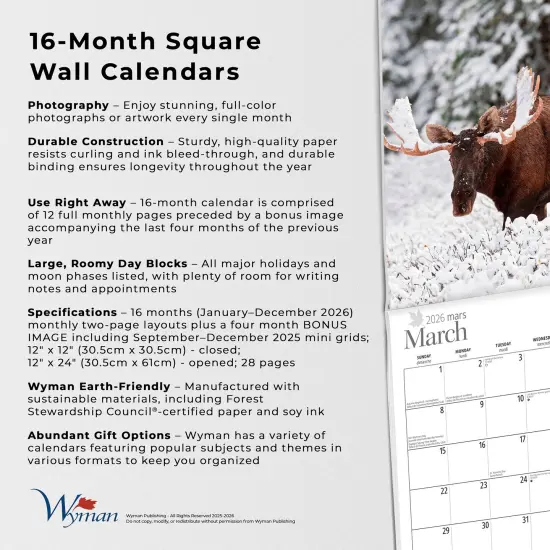 Cabin Country | 2026 12 x 24 Inch (Hanging) Monthly Square Wall Calendar {6}