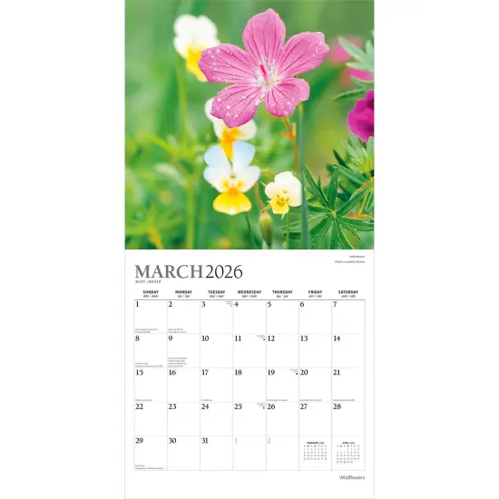 Wildflowers | 2026 12 x 24 Inch (Hanging) Monthly Square Wall Calendar | Foil Stamped Cover {3}