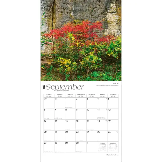 Iowa Wild & Scenic | 2026 12 x 24 Inch (Hanging) Monthly Square Wall Calendar | Plastic-Free {4}