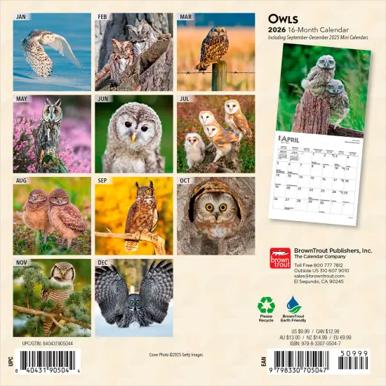 Owls | 2026 7 x 14 Inch (Hanging) Monthly Mini Wall Calendar {2}