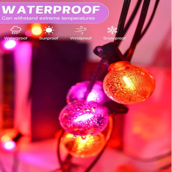 25FT G40 LED Outdoor Halloween String Lights {3}