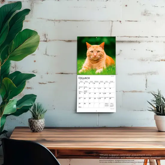 Cat Lovers | 2026 7 x 14 Inch (Hanging) Monthly Mini Wall Calendar {7}