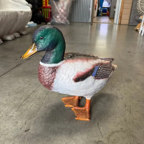 Male Mallard Duck Statue {4}