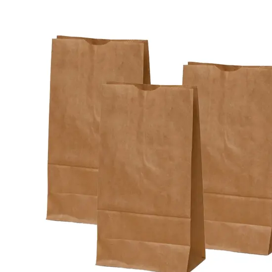 Kraft Carry Bags 6 1/8'' x 4'' x 12 3/8'' {4}