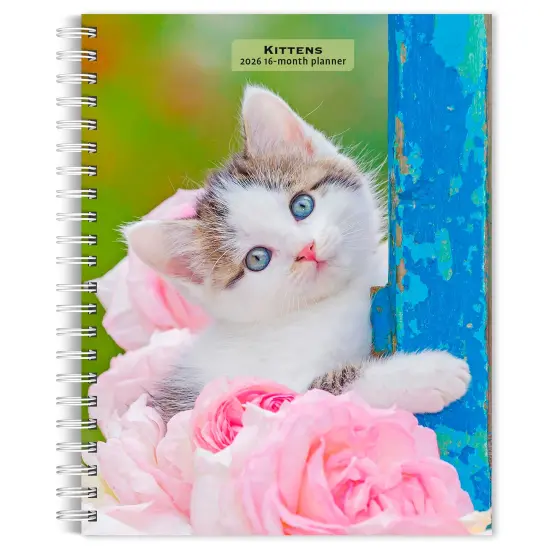 Kittens | 2026 6x7.75 Inch Spiral-Bound Wire-O Weekly Engagement Planner Calendar | New Full-Color Image Every Week {1}