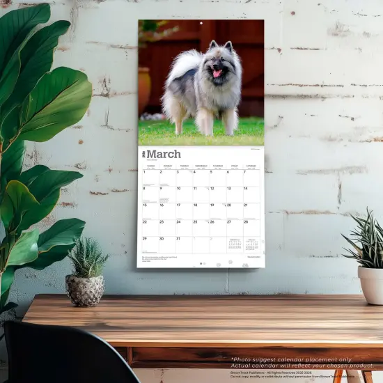 Keeshonden | 2026 12 x 24 Inch (Hanging) Monthly Square Wall Calendar | Plastic-Free {5}