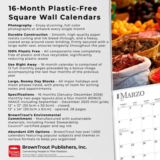 Mercados de Mexico | Markets of Mexico | 2026 12 x 24 Inch (Hanging) Monthly Square Wall Calendar | English/Spanish Bilingual | Plastic-Free {6}