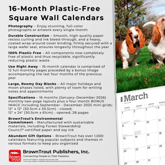 Basset Hounds | 2026 12 x 24 Inch (Hanging) Monthly Square Wall Calendar | Plastic-Free {6}
