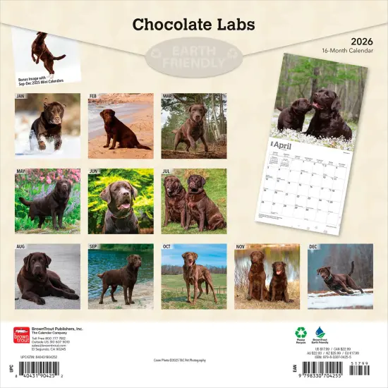 Chocolate Labrador Retrievers | 2026 12 x 24 Inch (Hanging) Monthly Square Wall Calendar | Plastic-Free {2}