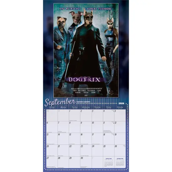 Best in Show OFFICIAL | 2026 12 x 24 Inch (Hanging) Monthly Square Wall Calendar | Plastic-Free {4}