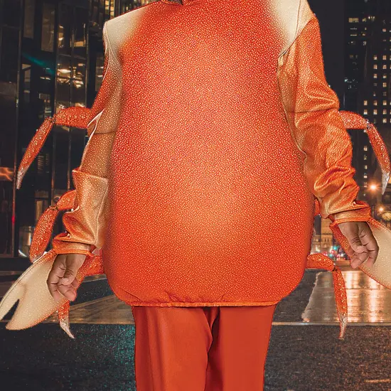 Baby Sebastian The Little Mermaid Classic Toddler Costume {3}