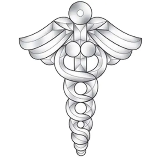 8" x 10" Exquisite Clear Glass Caduceus Bevel Cluster EC143 {1}