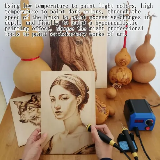 LH55-1 wood burning kit,wood burning tool,digitally adjustable temperature wood burner kit,professional wood burner tool kit for adults beginners craft,pyrography pen (LH55-A pen) {5}