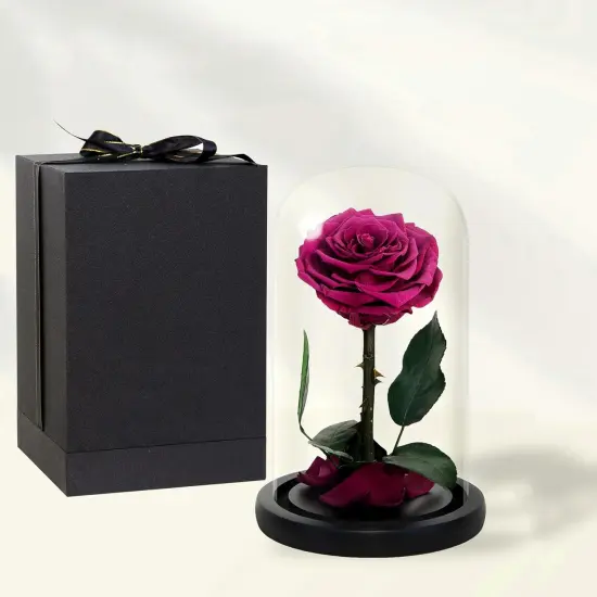 Handmade Preserved Roses in Glass Dome, Long Lasting Pink Roses Real, Flowers for Women {4}