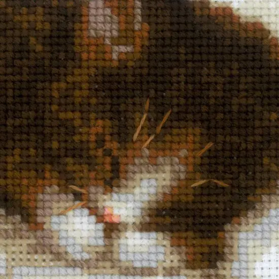 Kitten on the Book R1725 Counted Cross Stitch Kit {4}