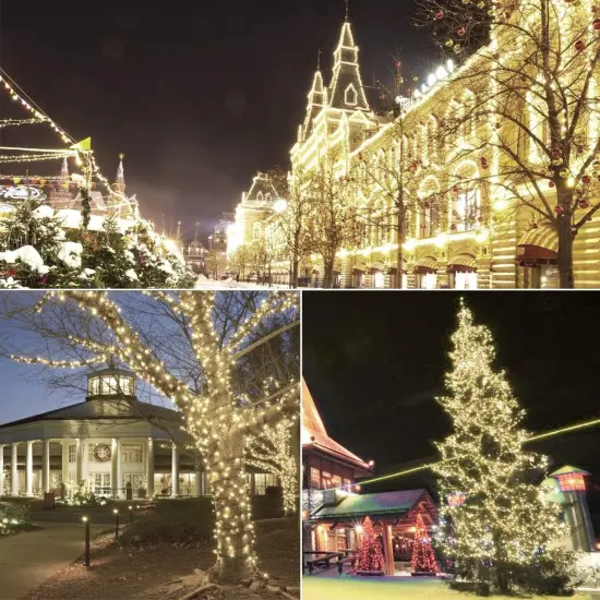 Christmas Lights Outdoor Warm White {2}