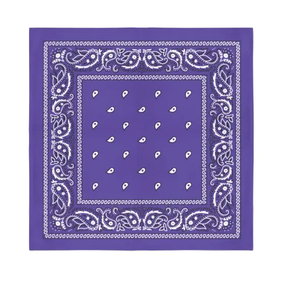 8 Pack X-Large Paisley Cotton Printed Bandana - 27 x 27 inches {1}