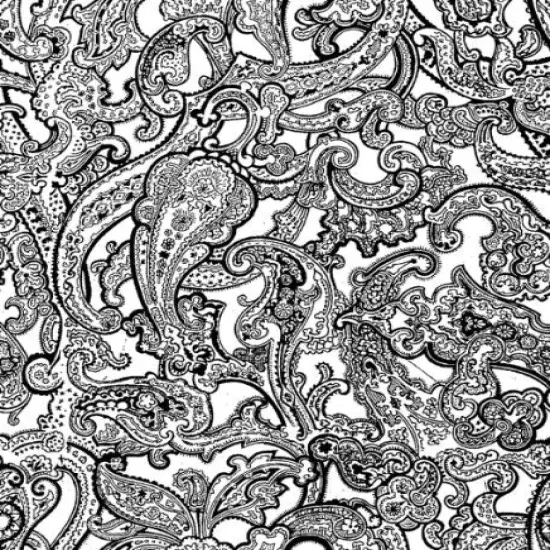 8" Round ~ Black & White Paisley Birthday ~ Edible Cake/Cupcake Topper!!! {1}