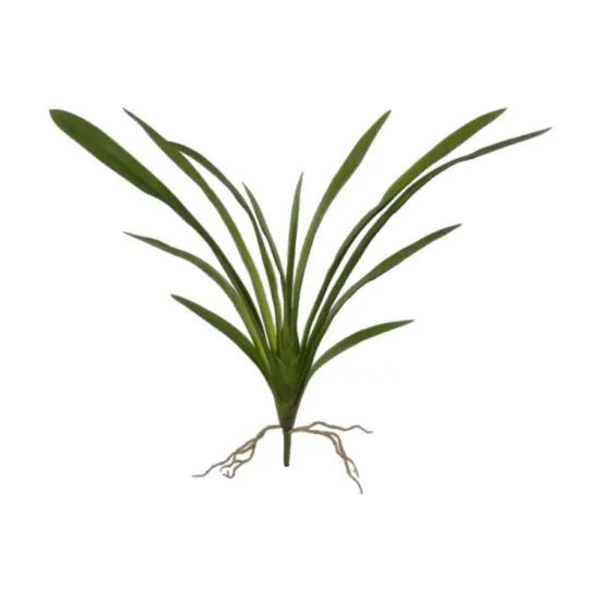 26" Cymbidium Leaf Cluster- 3 PACK {1}