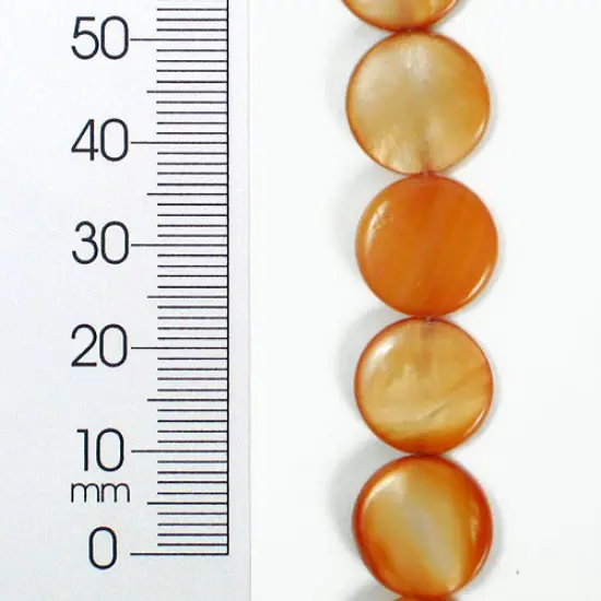 6 Packs of Tinted Shell 12mm Round Beige 2x8" Strand {1}